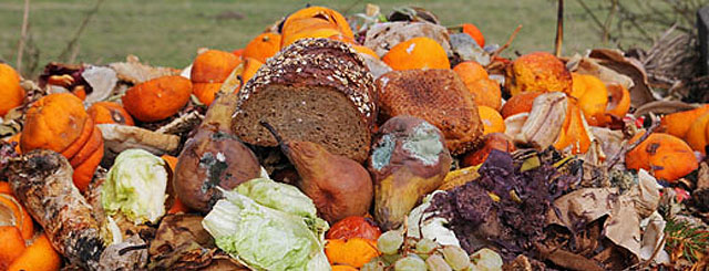 Lebensmittelabfälle, wie zum Beispiel Brot, Birnen, Orangen oder Salat