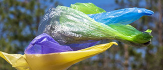 Abfalleimer mit Glasflaschen